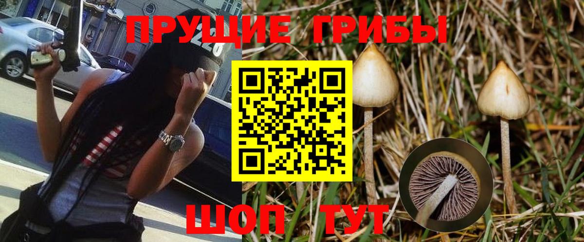 где купить   Вход с VPN  Тулун  Псилоцибиновые грибы ЛСД 